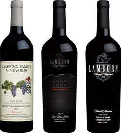 3 Bottle Red Tasting Pack